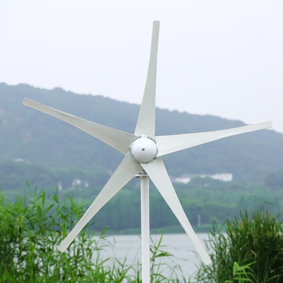 5KW 50HZ Generator Wind Energy Οριζόντια ανεμογεννήτρια για το σπίτι